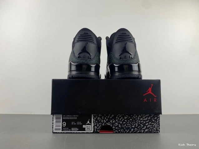 Kicked Out Shoe Store Black Cat Jordan Air CT8532-001 3 0723
